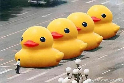 Sina-Weibo-Ducks