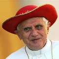 Papal bull?