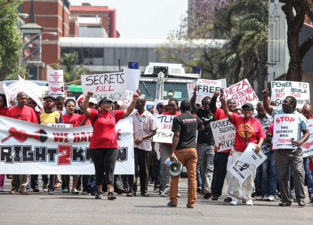 Right2Know March in Pretoria, September 2012. Jordi Matas | Demotix