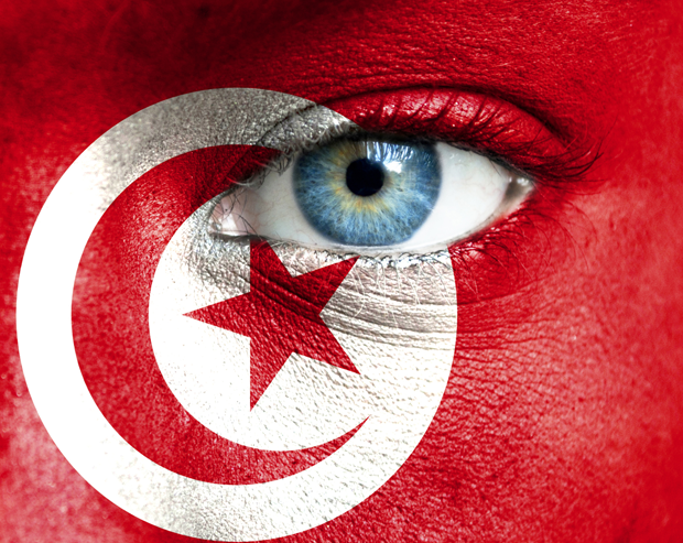 Tunisia’s draft constitution raises concerns about democratic transition