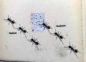 Ants feature in Keizer's work to sybolise "the forgotten ones, the silenced, the nameless, those marginalised by capitalism". Image: Keizer