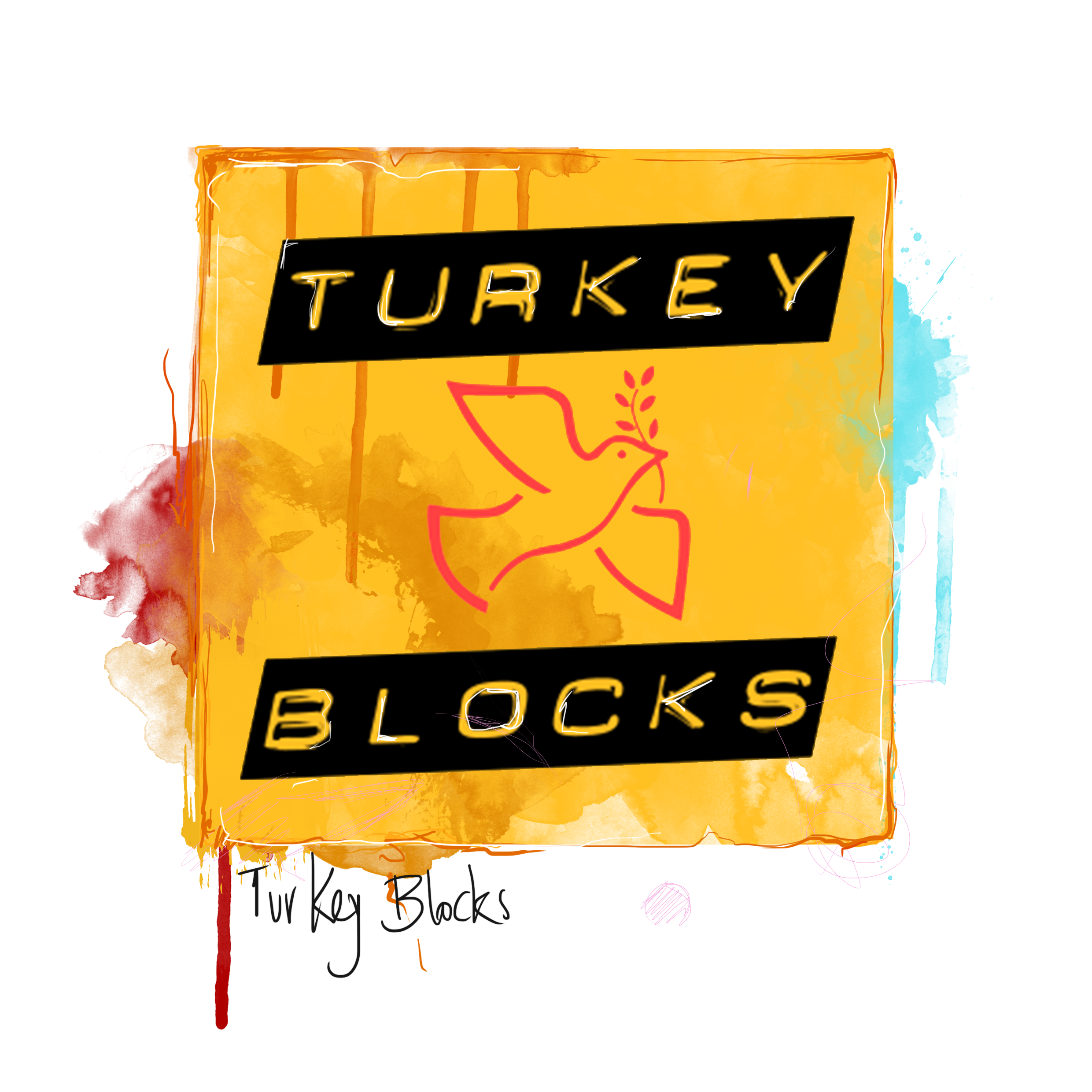Turkey Blocks is the 2017 Freedom of Expression Awards Digital Activism Fellow