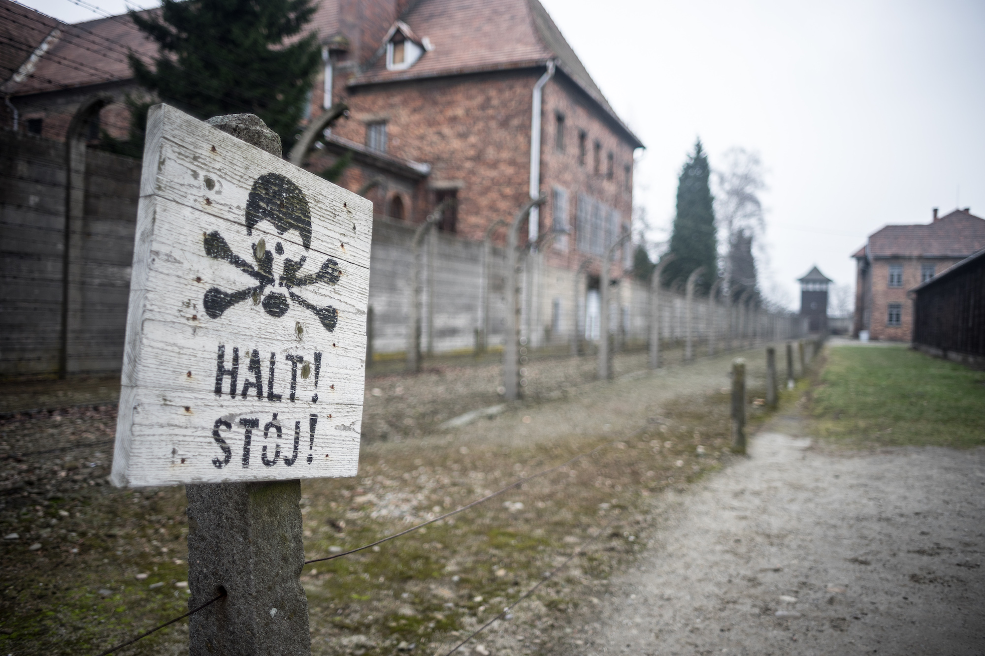 A stop sign in Auschwitz concentration camp, Fabrizio Sciami, Flickr