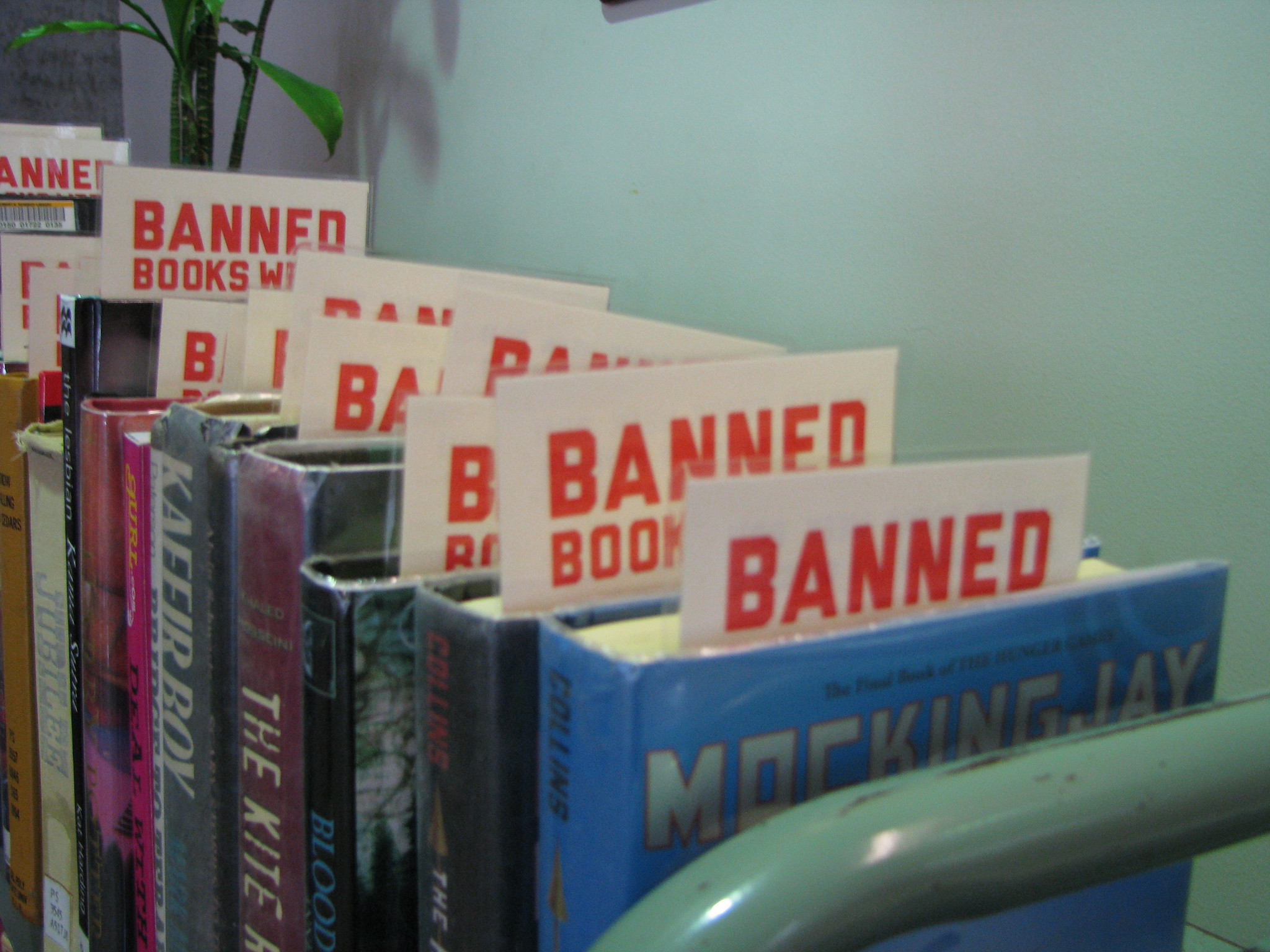 All lose out when books are banned