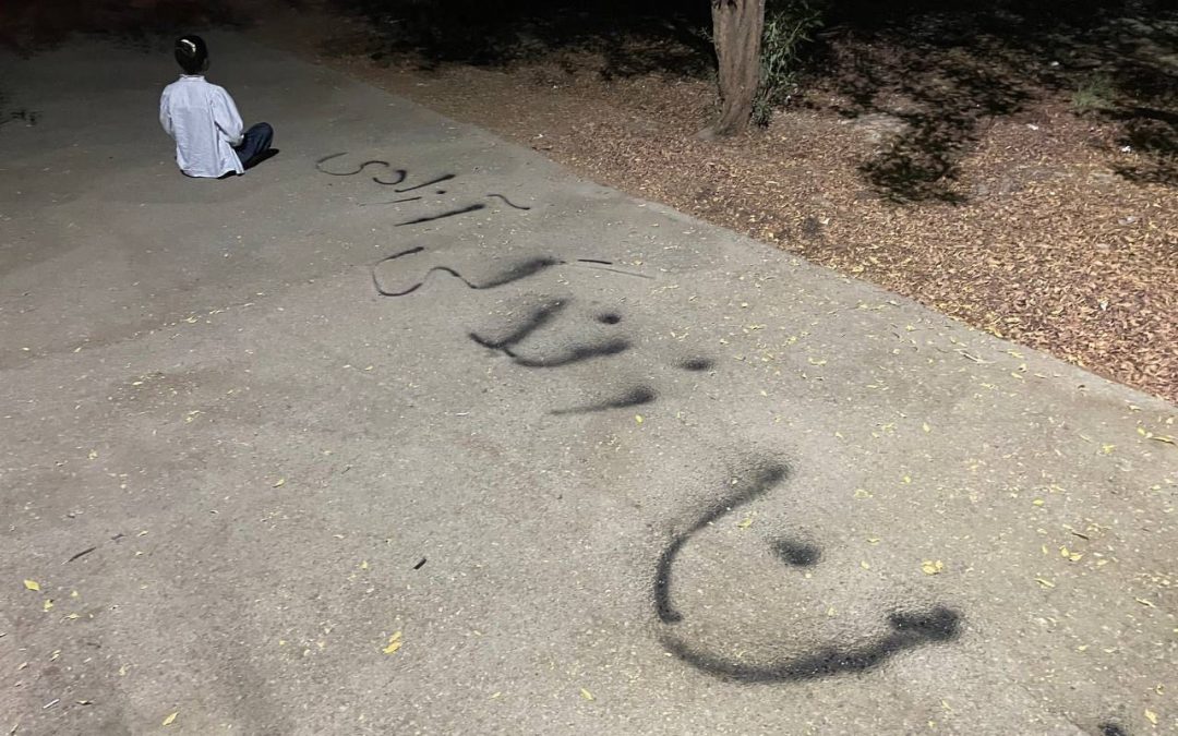 The secret graffiti grandma of Tehran