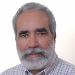 Urariano Mota
